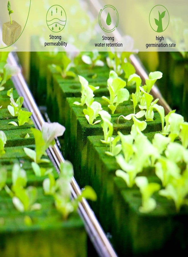 Halatool مكعبات الصوف الصخري من هالاتول مقاس 1 بوصة، مكعبات صوف صخري للحدائق، مكعبات صوف حجري للزراعة، شمعات بدء الزراعة المائية، الزراعة بدون تربة، استنساخ النباتات، بدء الإنبات (4 أوراق، 200 شمعة إجمالاً) - Image 4